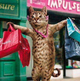 shopping cat